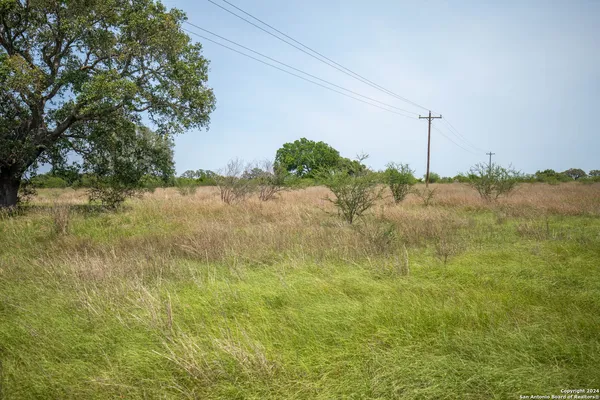 a view of a field with trees in the background