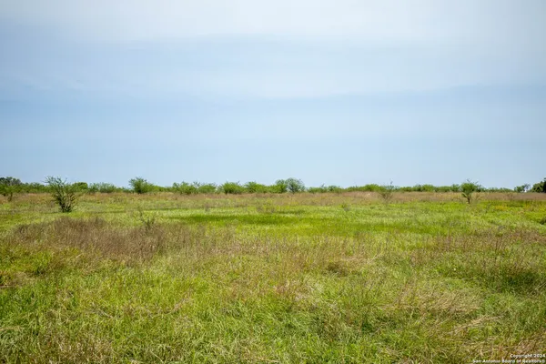 a view of a field with trees
