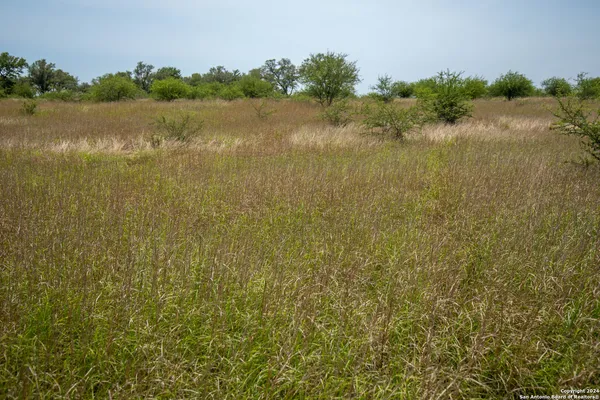 a view of city with an ocean