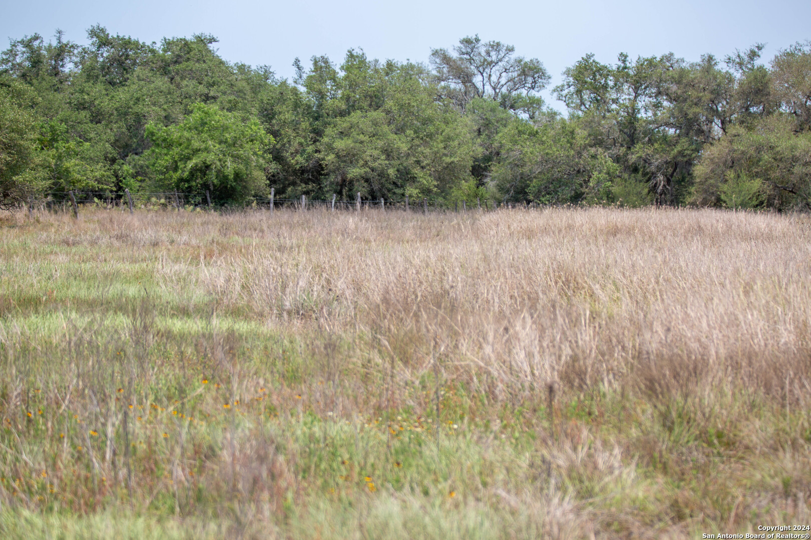 Tbd Green Dewitt Road Cuero, TX 77954 - Photo 40 of 49 a view of a green field