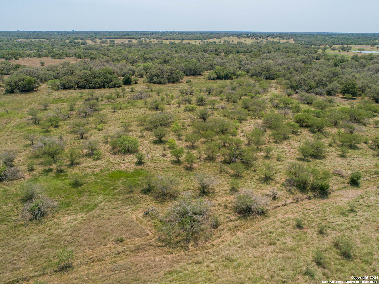 Tbd Green Dewitt Road Cuero, TX 77954 - Photo 43 of 49 a view of a field with trees