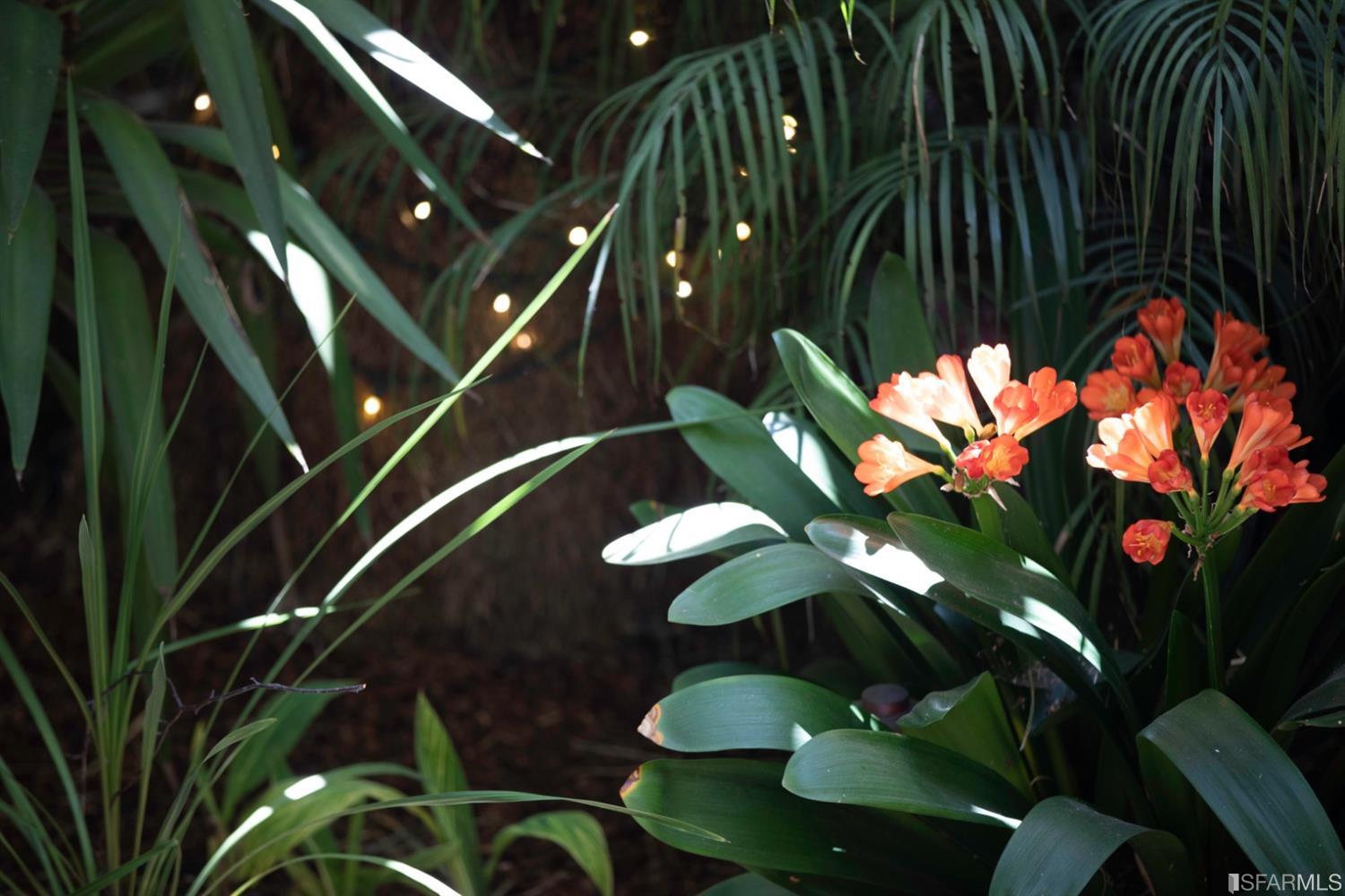 275 Shipley San Francisco, CA 94103 - Photo 31 of 95 a picture of flowers