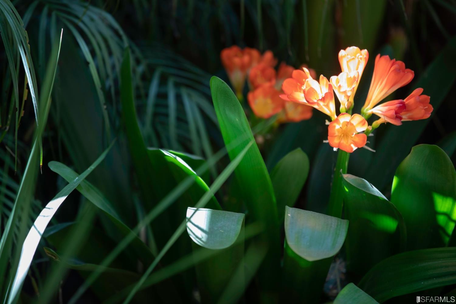 275 Shipley San Francisco, CA 94103 - Photo 32 of 95