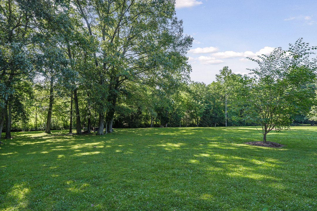 245 Faith-Rae Boulevard Morrison, TN 37357 - Photo 21 of 55 a big yard with lots of green space and trees in the back
