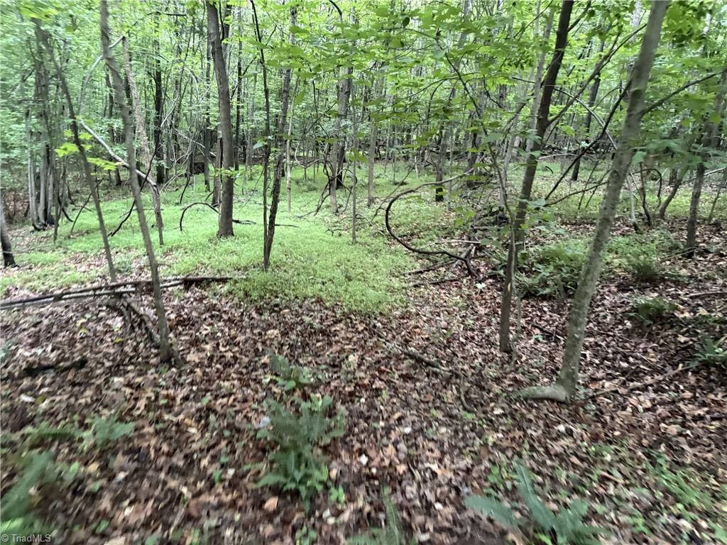 0 Nubbin Ridge Road Reidsville, NC 27320 - Photo 12 of 13