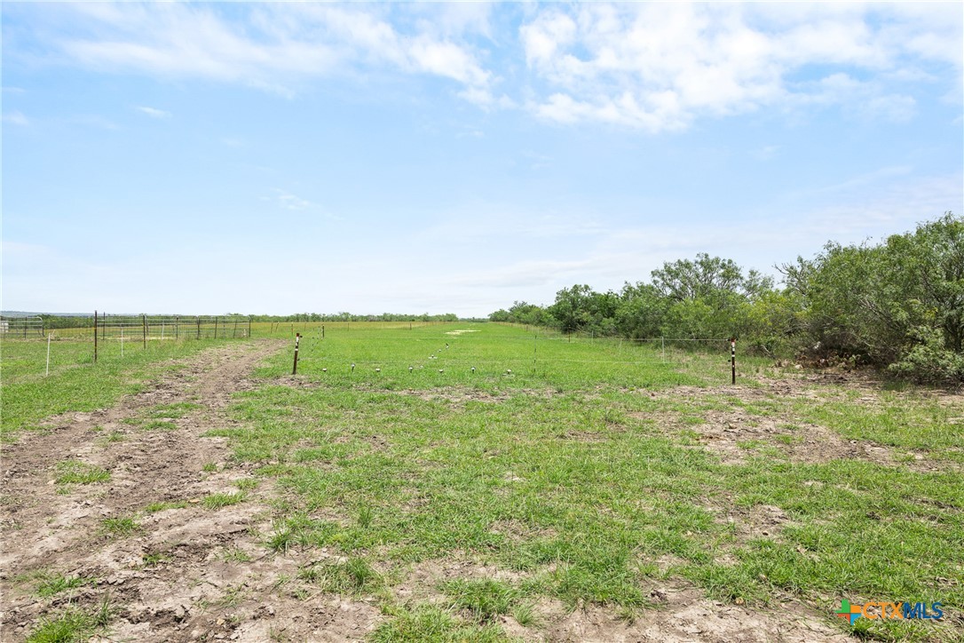 1190 Dickerson Road Lockhart, TX 78644 - Photo 9 of 40