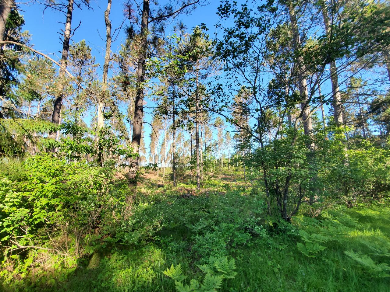 Lot 3 North Farming Road Woodruff, WI 54568 - Photo 1 of 19 Gallery Image 1
