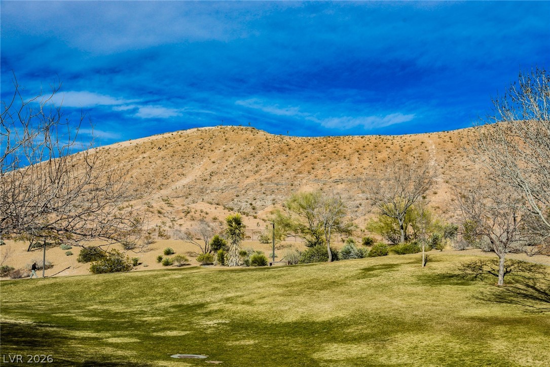 9916 Sable Point Street Las Vegas, NV 89178 - Photo 64 of 73 Green lawns meet natural desert landscaping with a majestic mountainous backdrop.