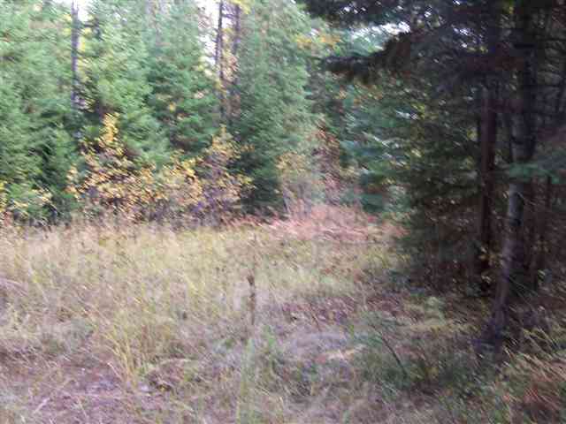 258 Teal Road Usk, WA 99180 - Photo 2 of 9 Gallery Image 2