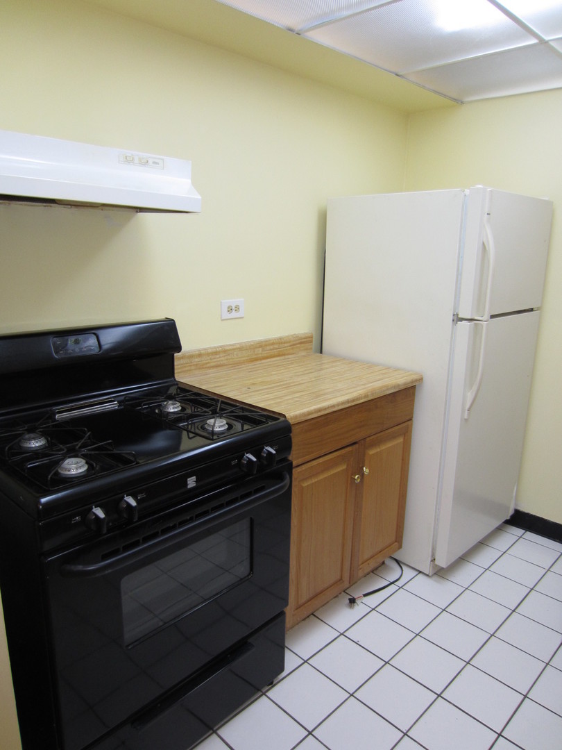 134 East Bailey Road, Unit H Naperville, IL 60565 - Photo 6 of 11