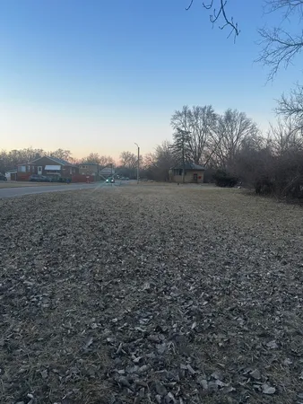 a view of a yard