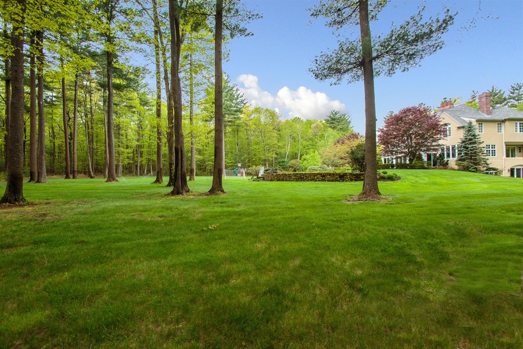 144 Sandy Pond Road Lincoln, MA 01773 - Photo 3 of 30 a view of a trees with a big yard