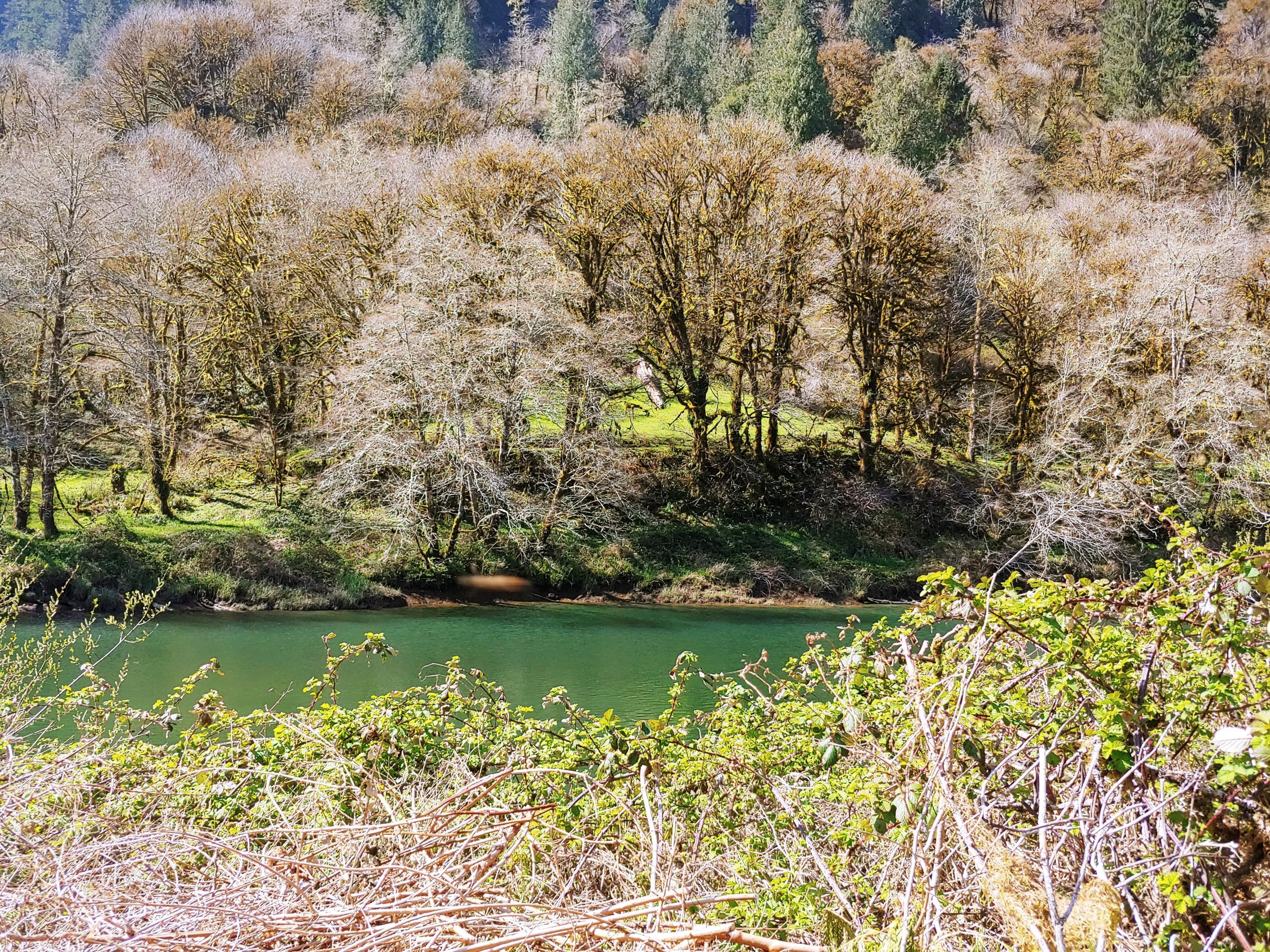 734 Little Switzerland Road Tidewater, OR 97390 - Photo 14 of 29 20210401_143108_HDR