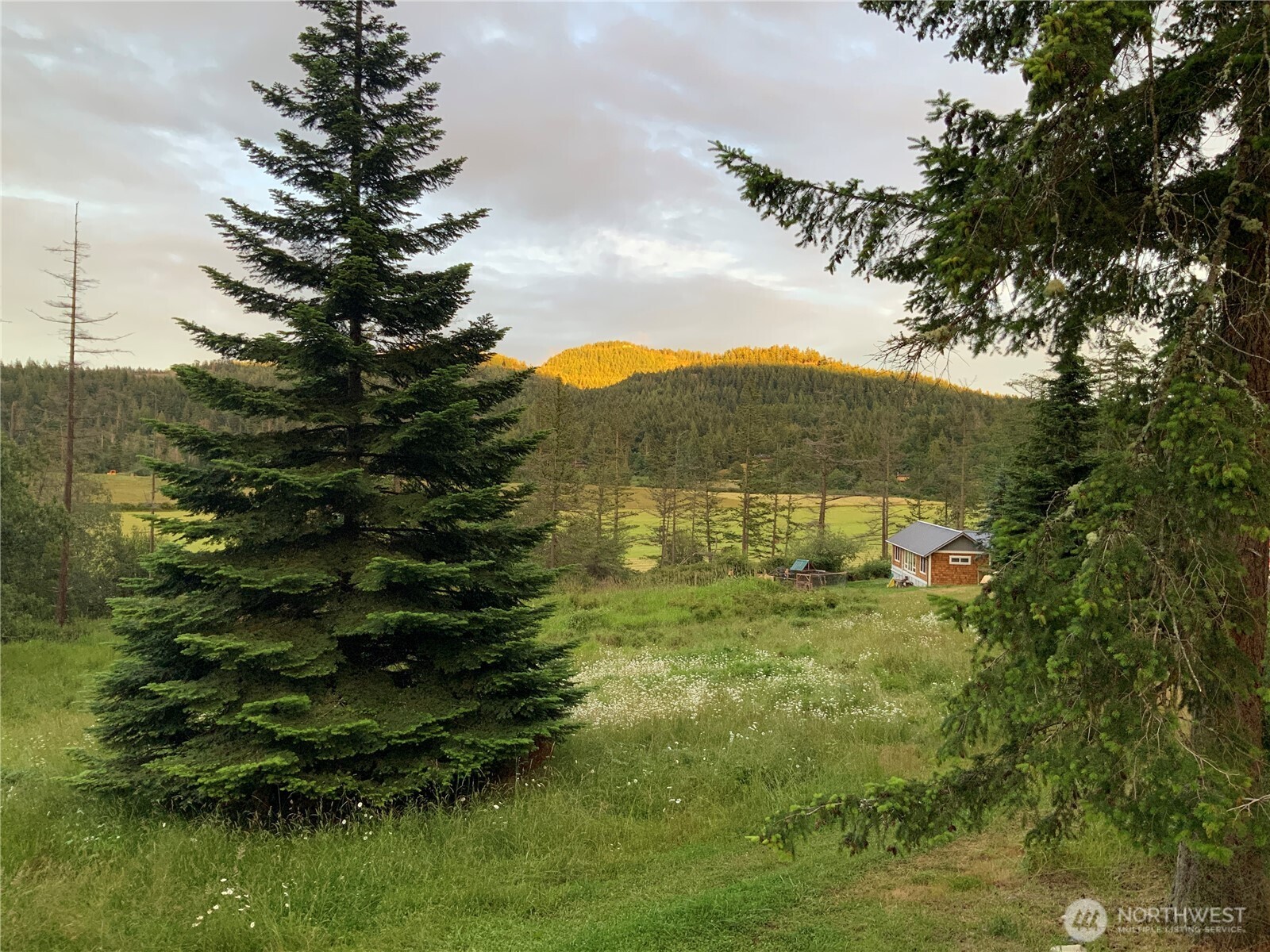 4263 Orcas Road Orcas Island, WA 98245 - Photo 22 of 39 a view of a big yard with large trees