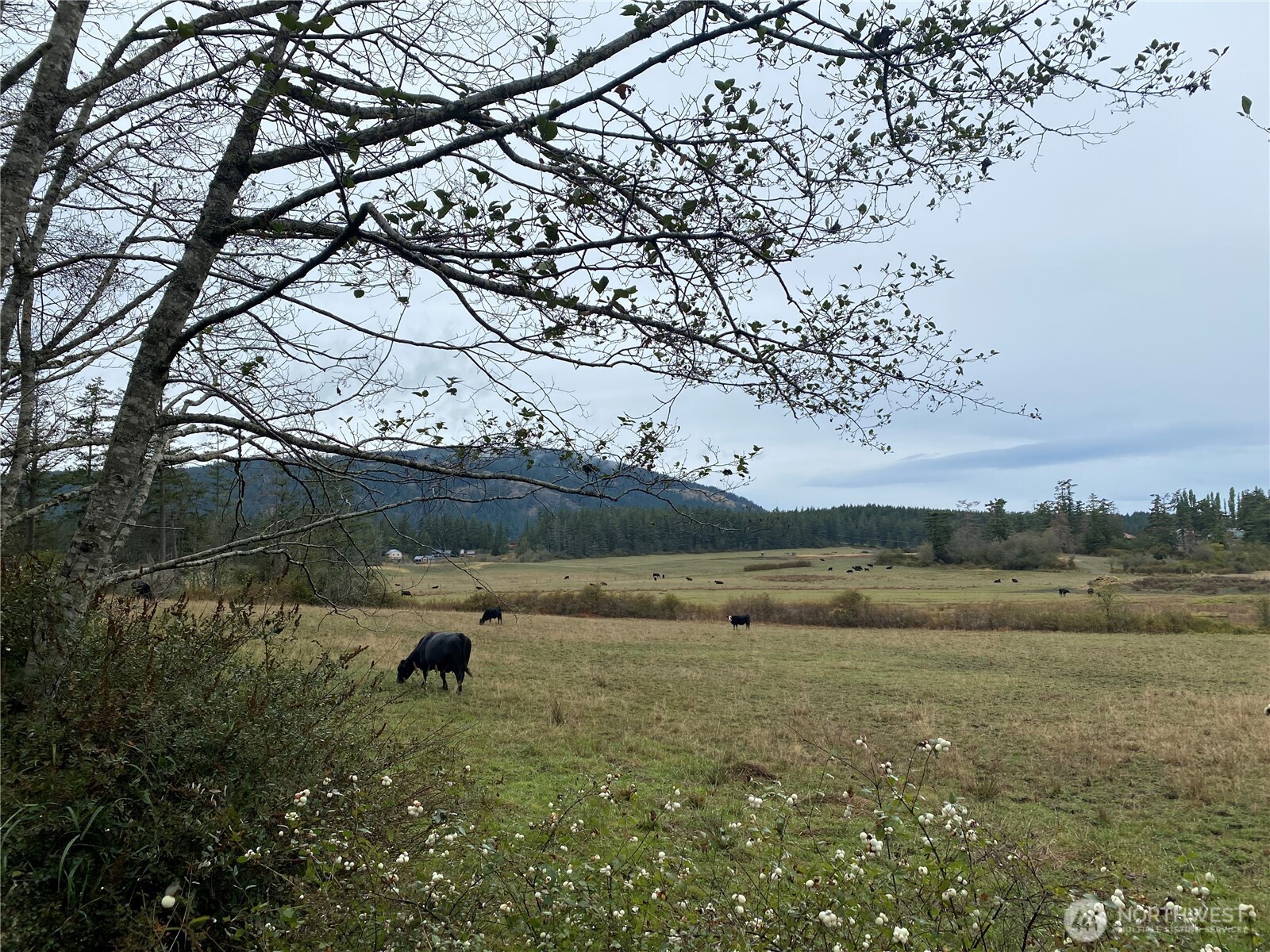 4263 Orcas Road Orcas Island, WA 98245 - Photo 29 of 39