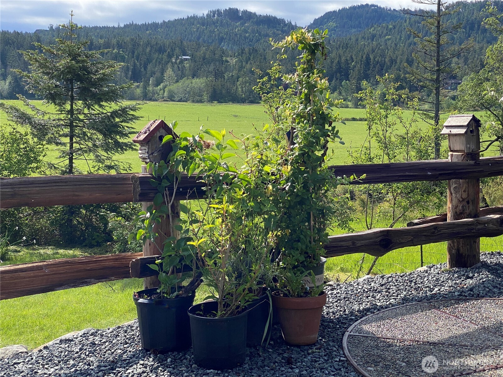 4263 Orcas Road Orcas Island, WA 98245 - Photo 33 of 39 a view of a garden with sitting area