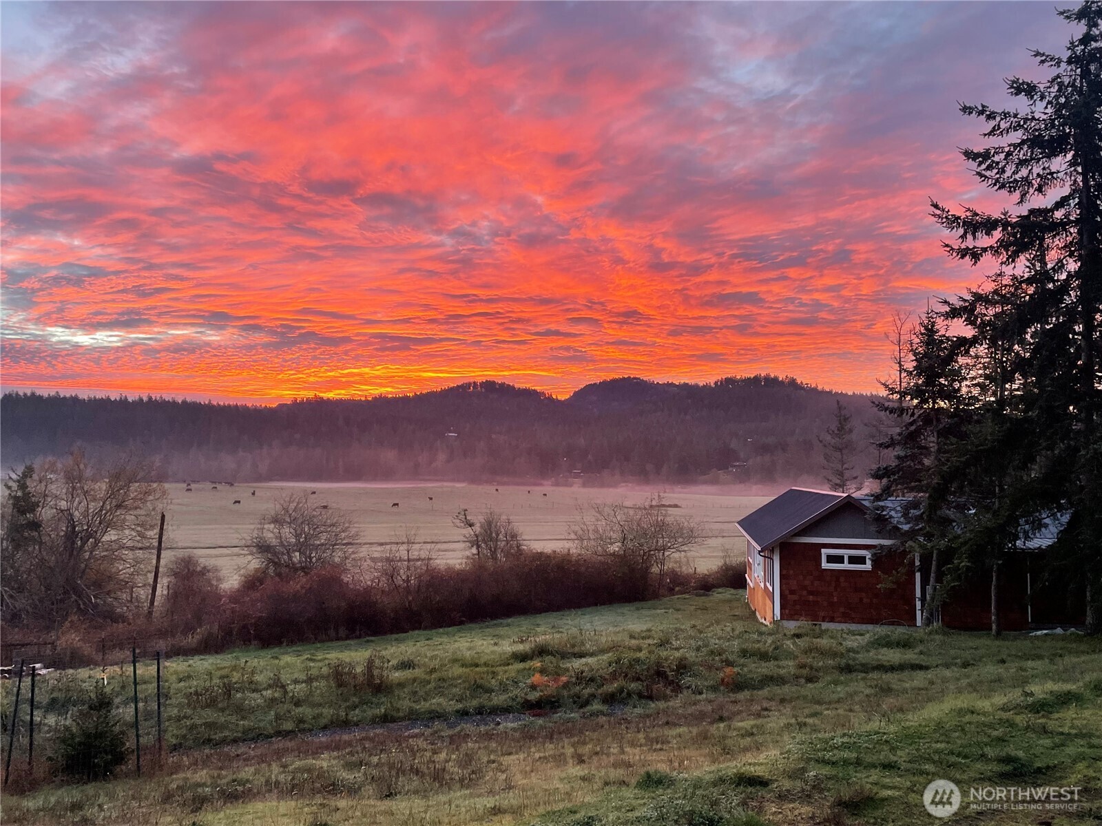 4263 Orcas Road Orcas Island, WA 98245 - Photo 4 of 39 a view of a with lush green field