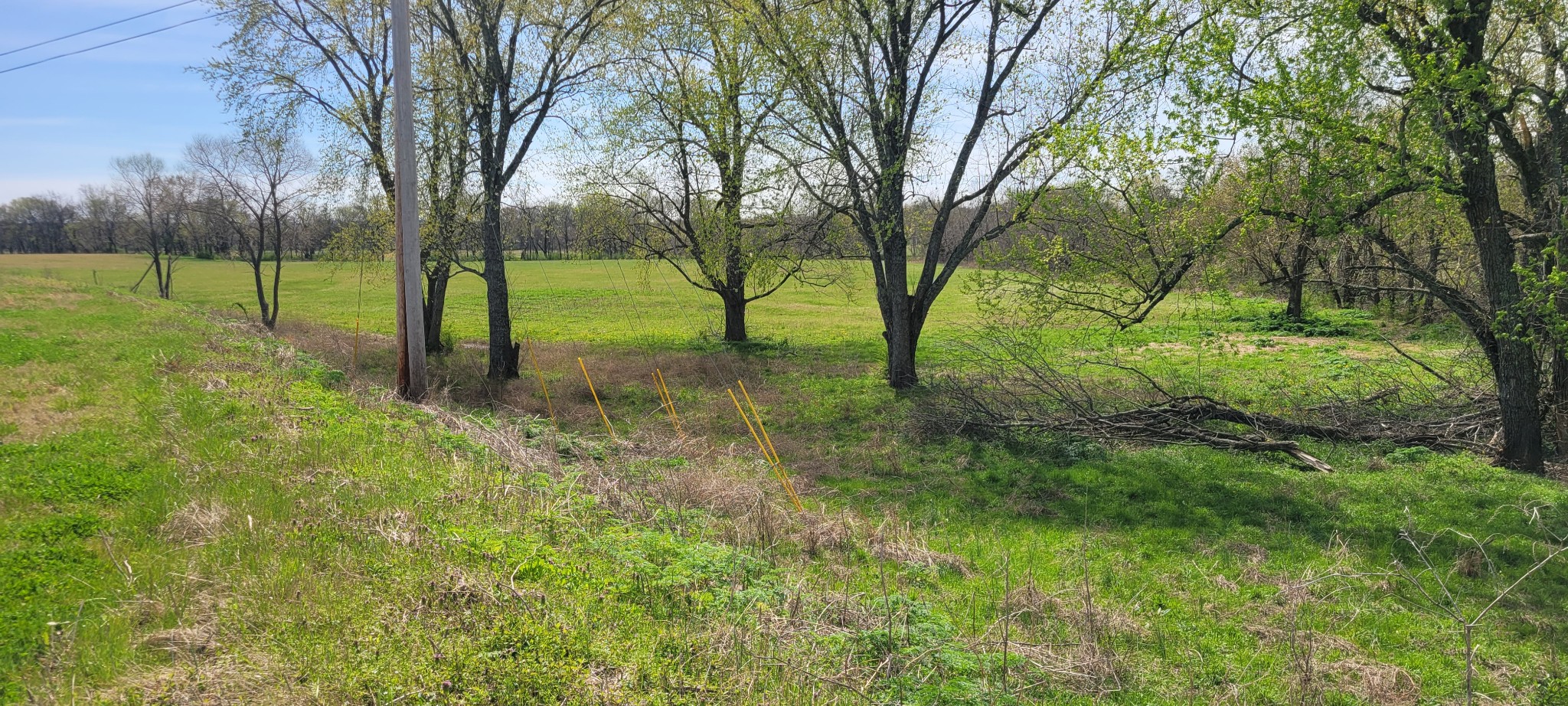 1 Snell Road Shelbyville, TN 37160 - Photo 1 of 2