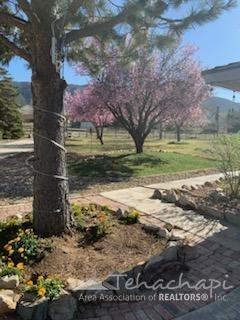 18401 Modoc Avenue Tehachapi, CA 93561 - Photo 14 of 18 Gallery Image 14