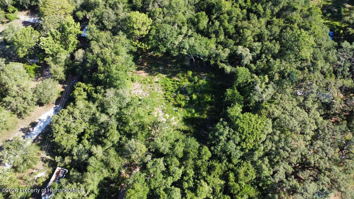 0 Little Ranch Road Spring Hill, FL 34610 - Photo 7 of 25