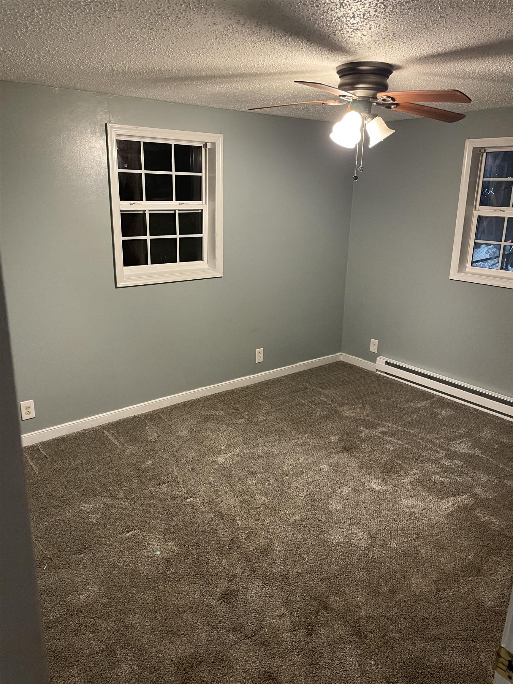 115 Augusta Springs Road Craigsville, VA 24430 - Photo 8 of 16 Gallery Image 8