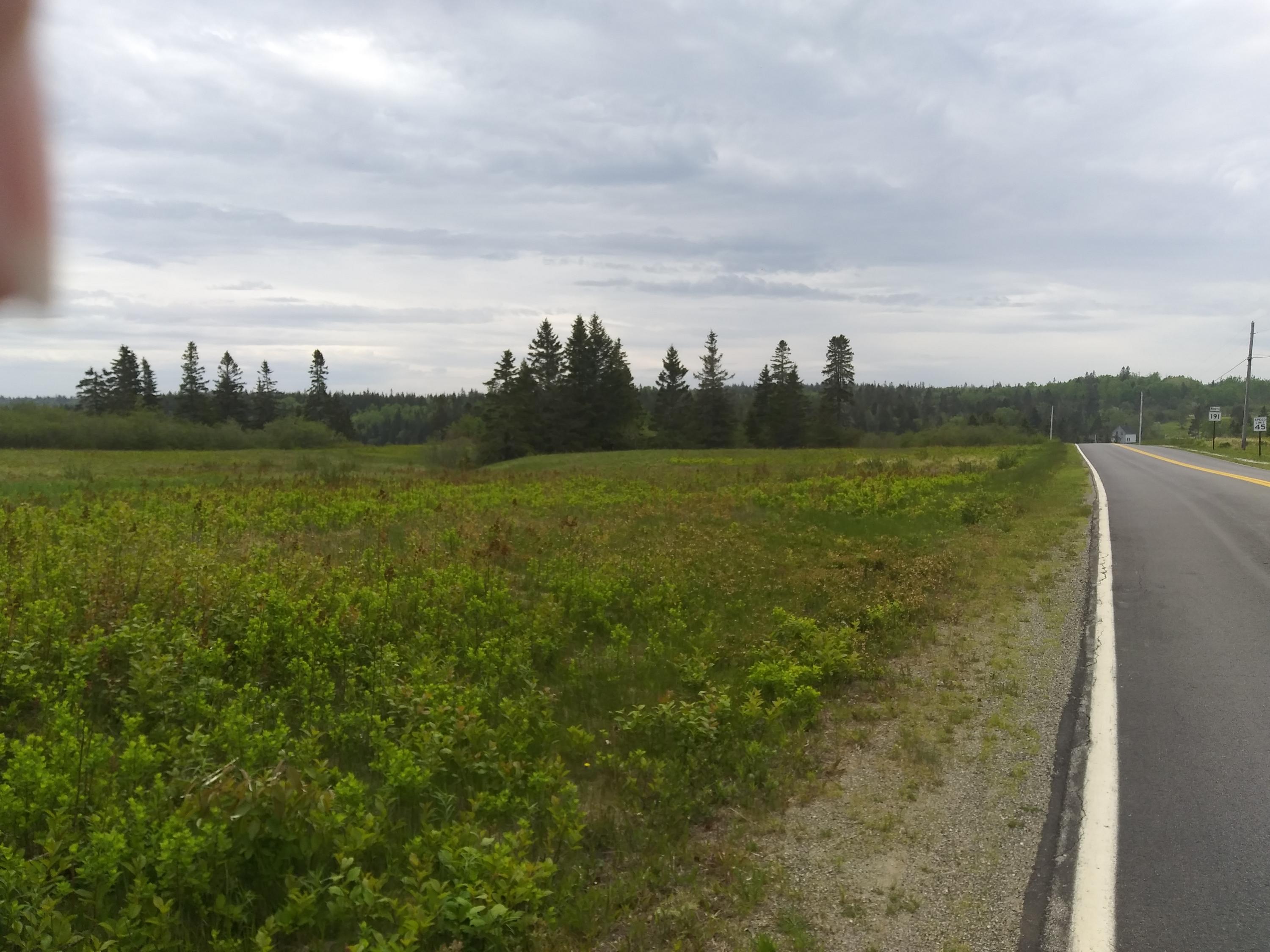 0 Havenhurst Road Lubec, ME 04652 - Photo 3 of 9 20200605_120529
