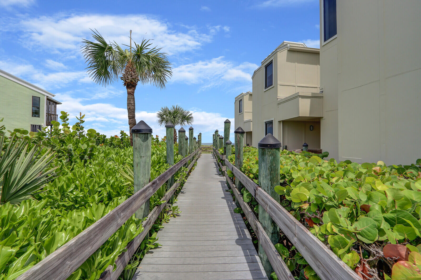 2051 Northeast Ocean Boulevard, Unit A12 Stuart, FL 34996 - Photo 24 of 39 a view of a garden with a potted plants