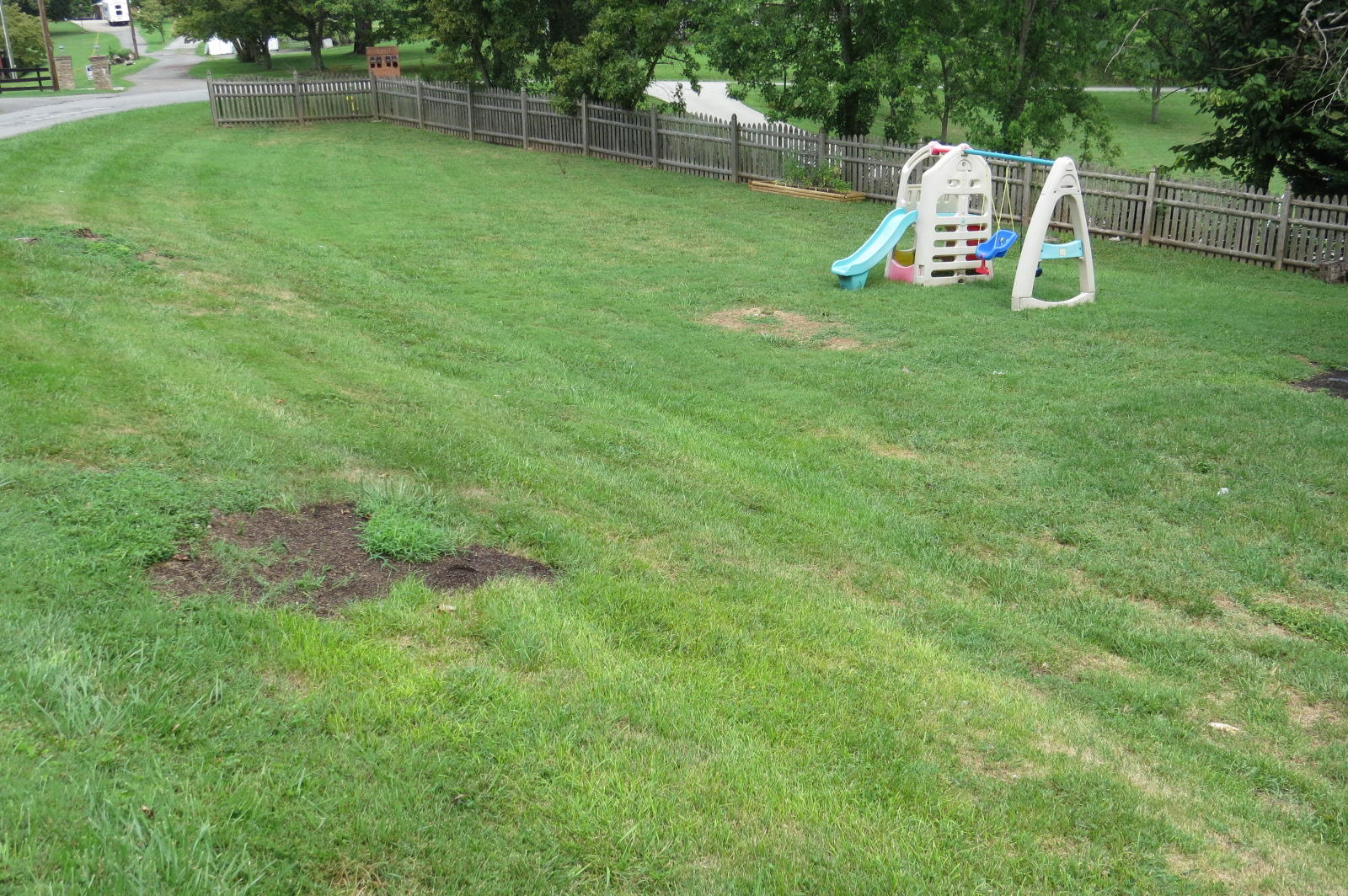 7904 Griffith Road Knoxville, TN 37938 - Photo 4 of 28 Side Yard