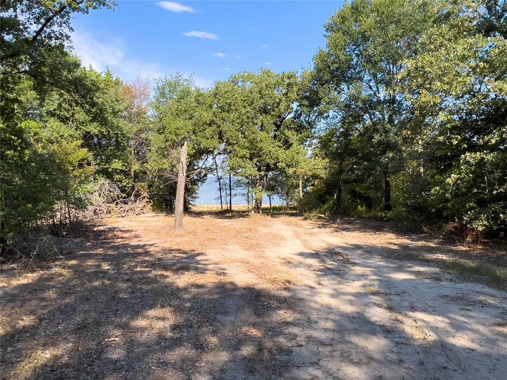 445 Sun Valley Mabank, TX 75147 - Photo 6 of 33 a view of outdoor space with trees