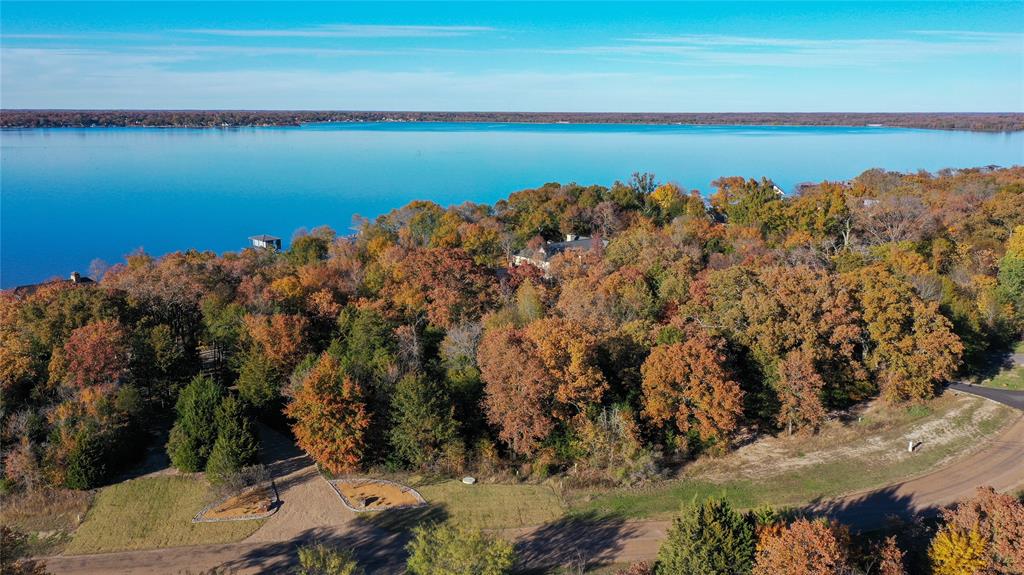 445 Sun Valley Mabank, TX 75147 - Photo 9 of 33 a view of lake and mountain
