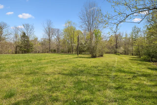 a view of outdoor space with trees all around