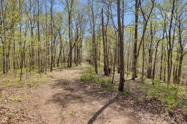 a backyard of a house with lots of green space and chair