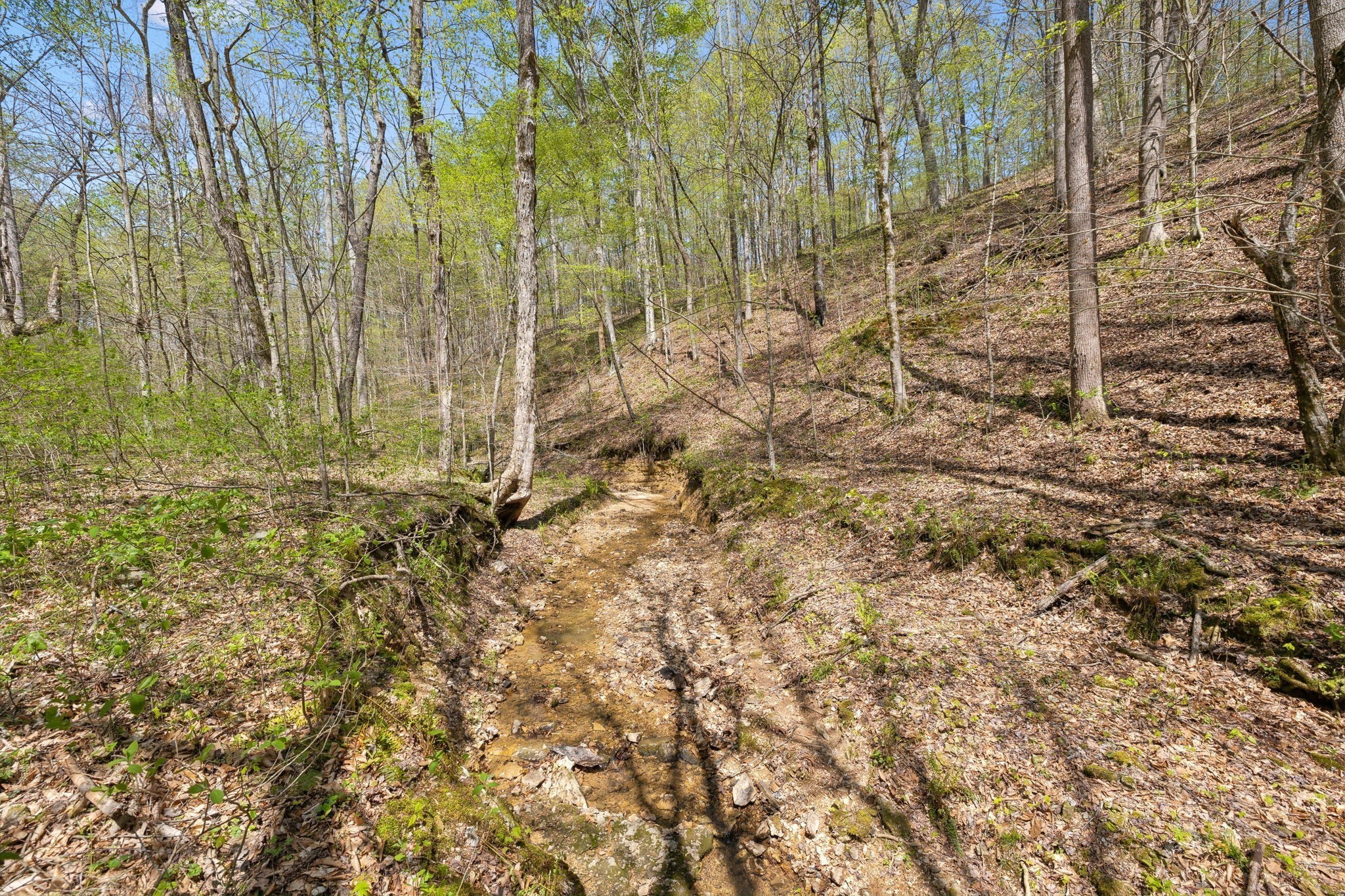 3467 Shouse Road Santa Fe, TN 38482 - Photo 32 of 46 a view of under construction area
