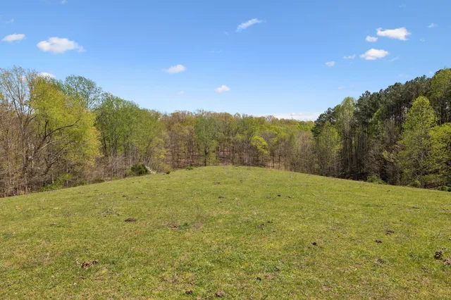 a view of a green field