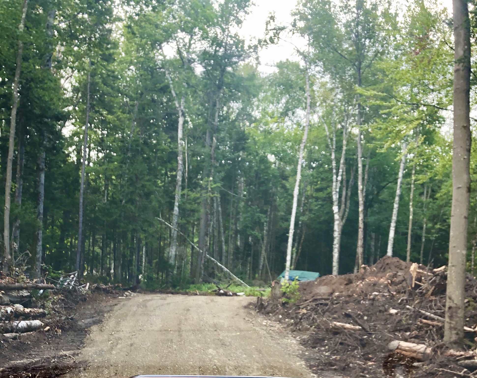 0 West Windham Road Windham, VT 05359 - Photo 5 of 12