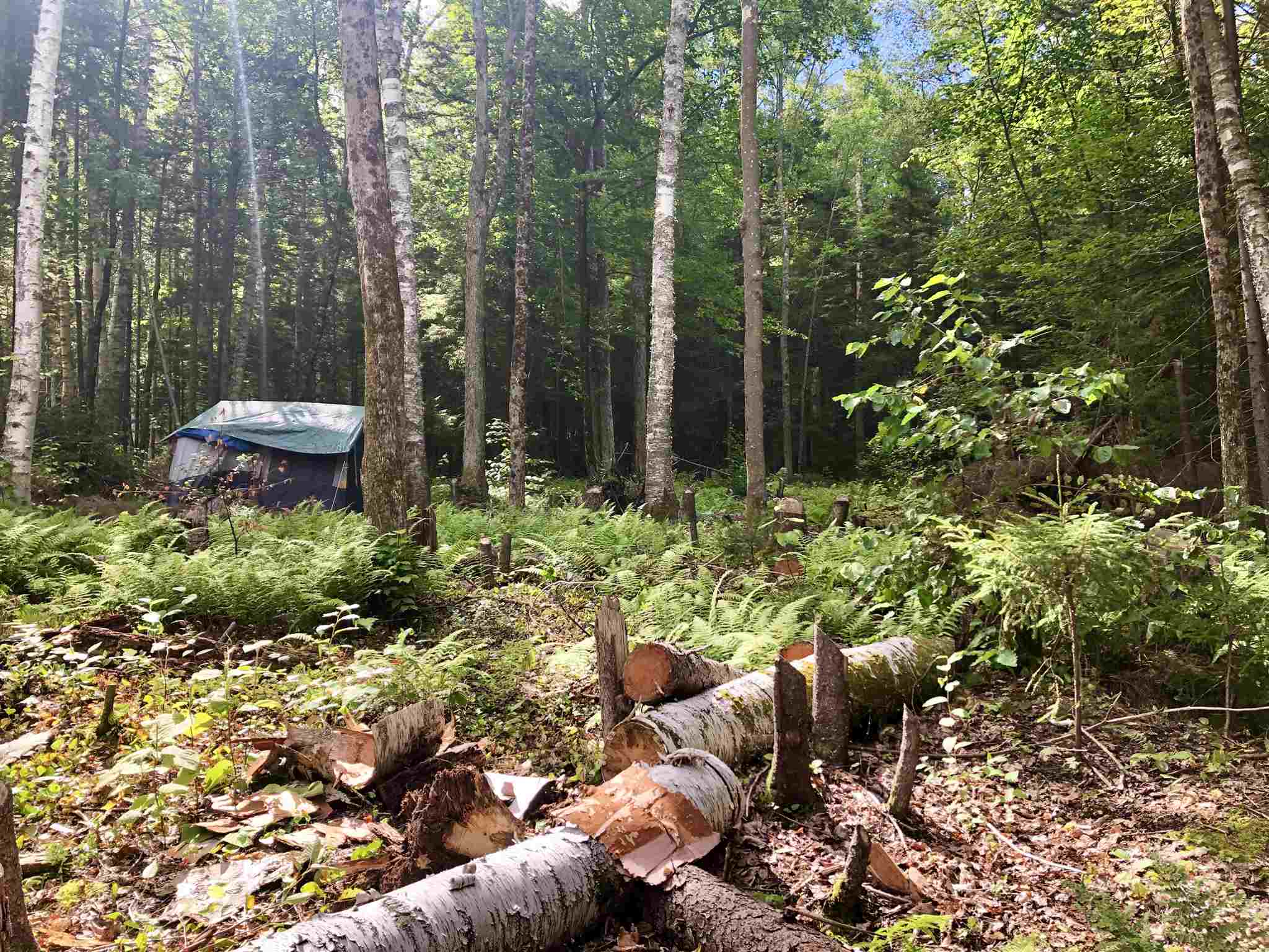 0 West Windham Road Windham, VT 05359 - Photo 8 of 12