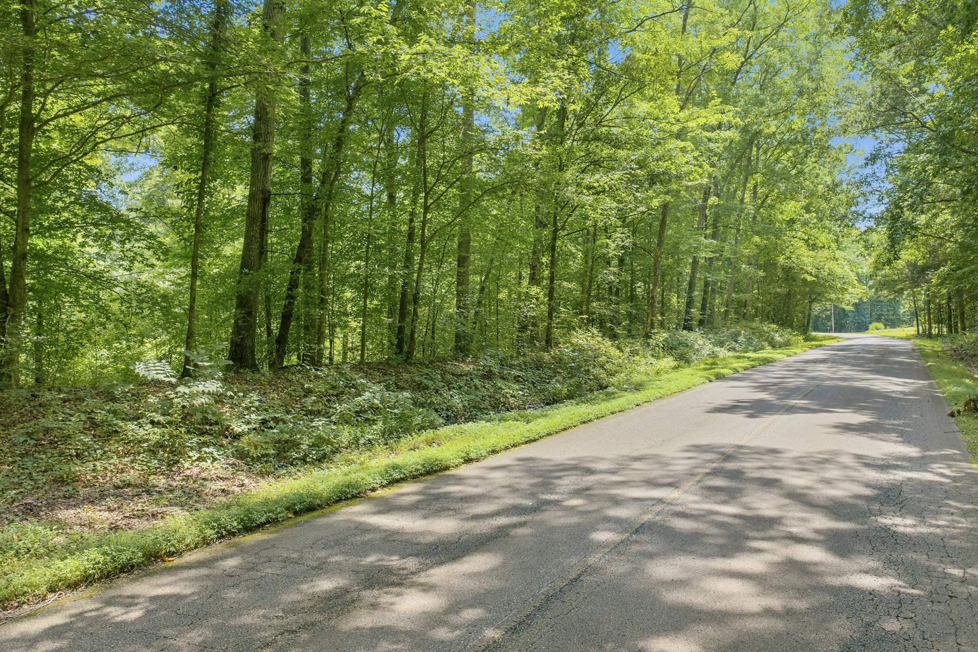 0 Holladay Road Holladay, TN 38341 - Photo 6 of 25 Gallery Image 6