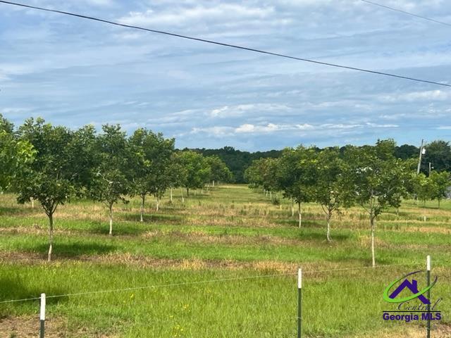 Henderson Springs Road Elko, GA 31025 - Photo 9 of 24