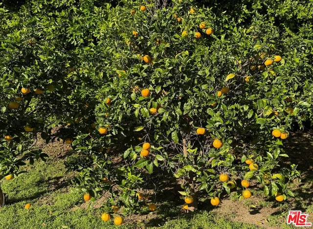 $7,995,000 | 29752 Baden Place, Malibu, CA 90265