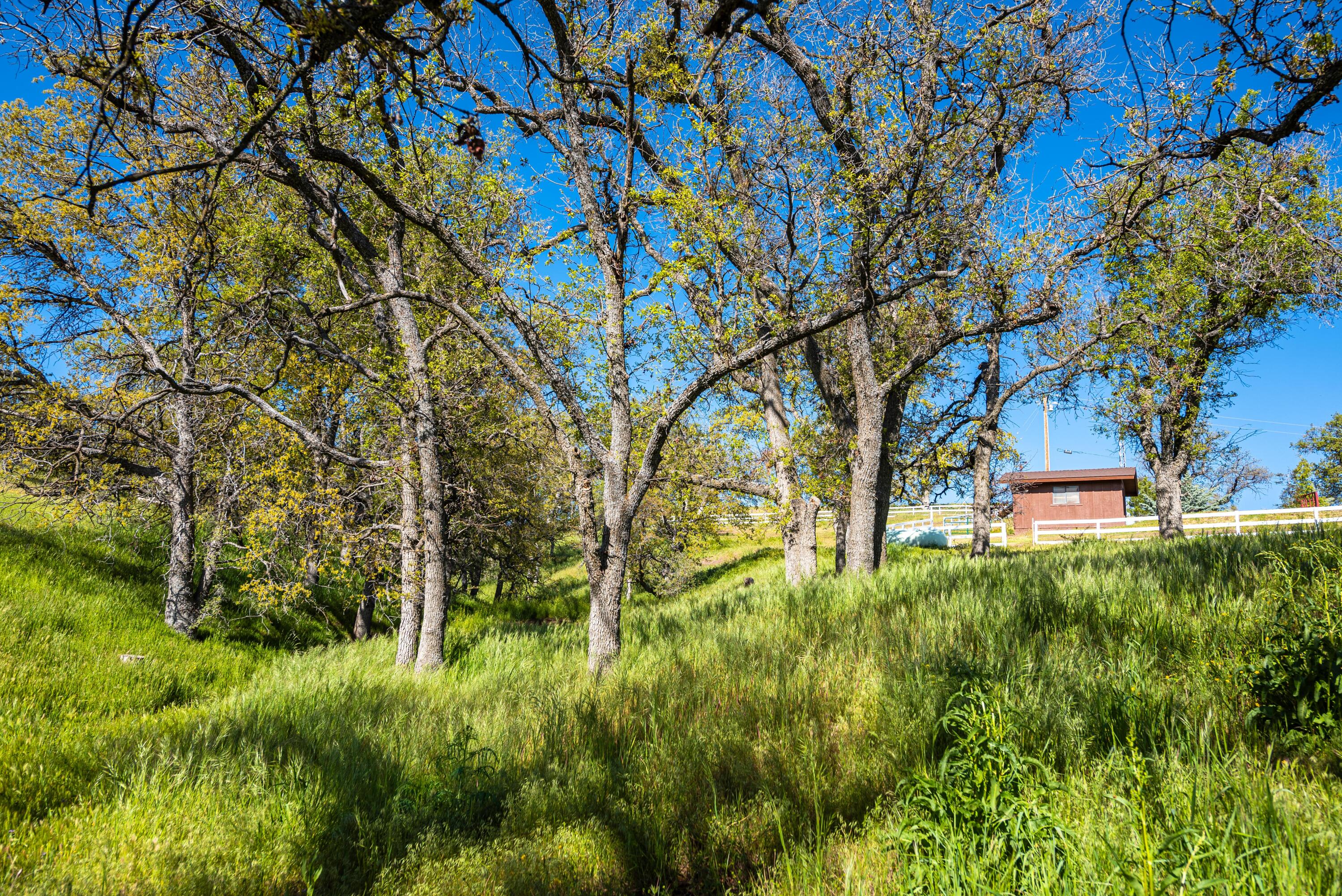 21970 Highline Road Tehachapi, CA 93561 - Photo 17 of 68 a backyard of a house with lots of green space