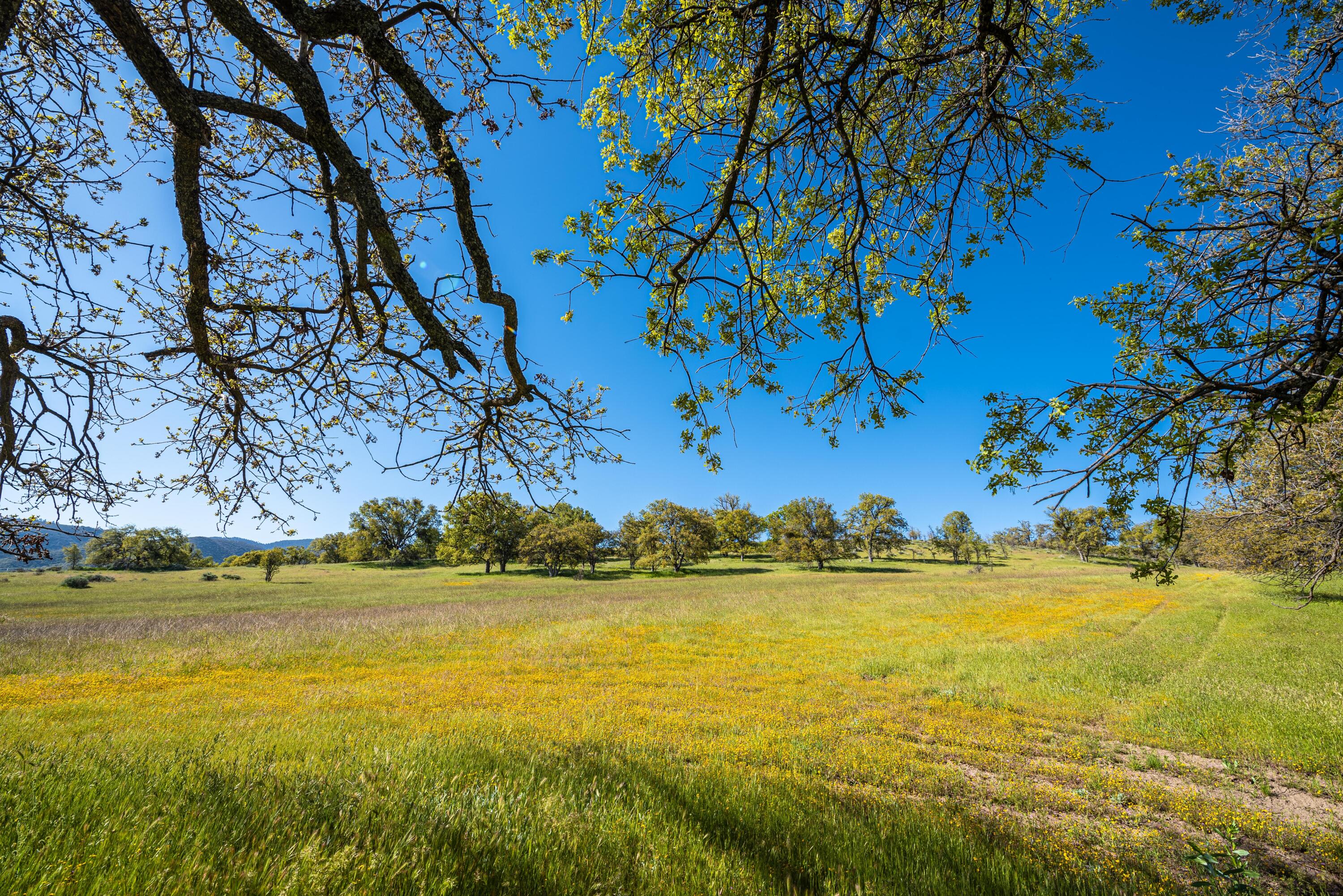 21970 Highline Road Tehachapi, CA 93561 - Photo 20 of 68 a view of an ocean with a building in the background