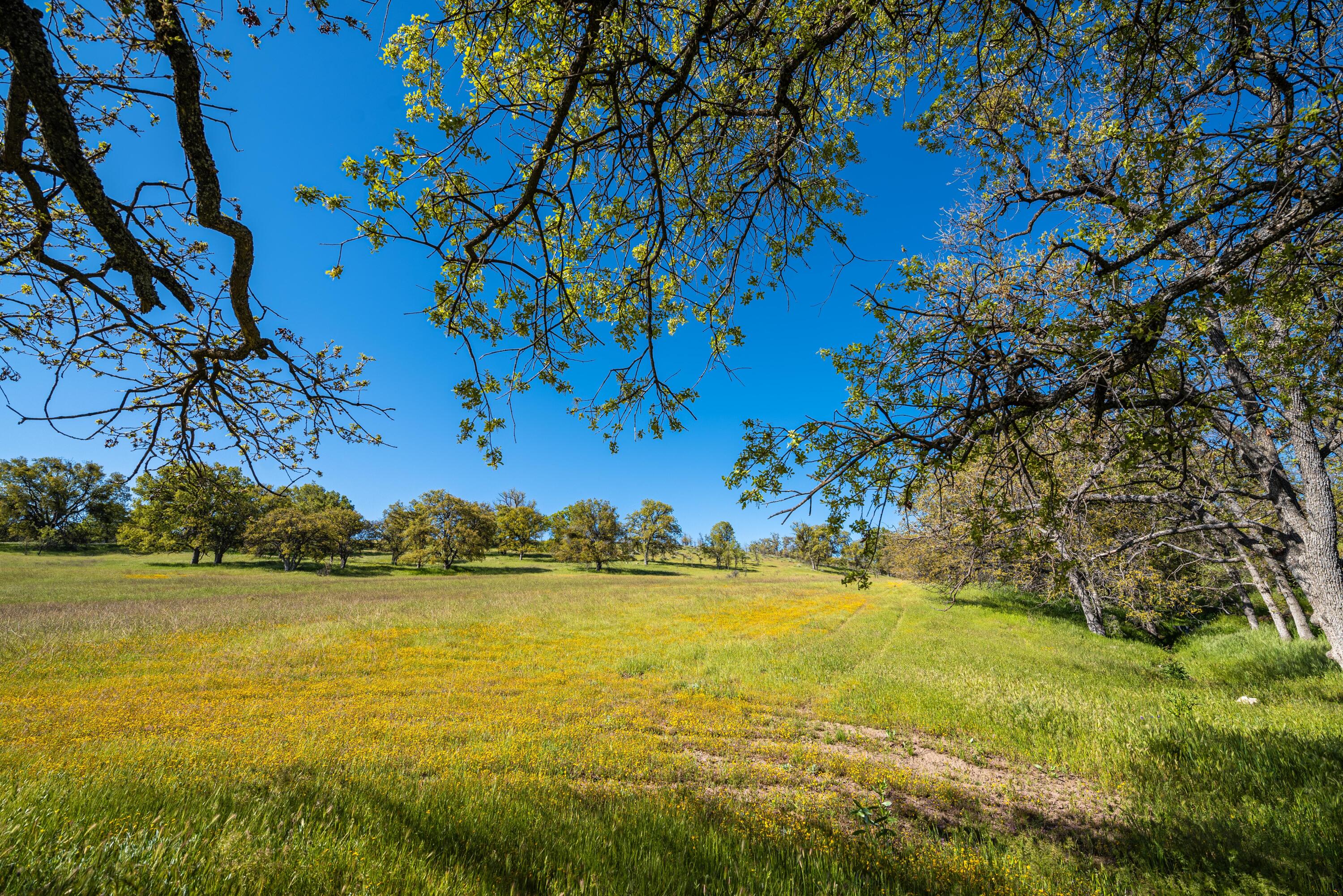 21970 Highline Road Tehachapi, CA 93561 - Photo 21 of 68 a view of an ocean