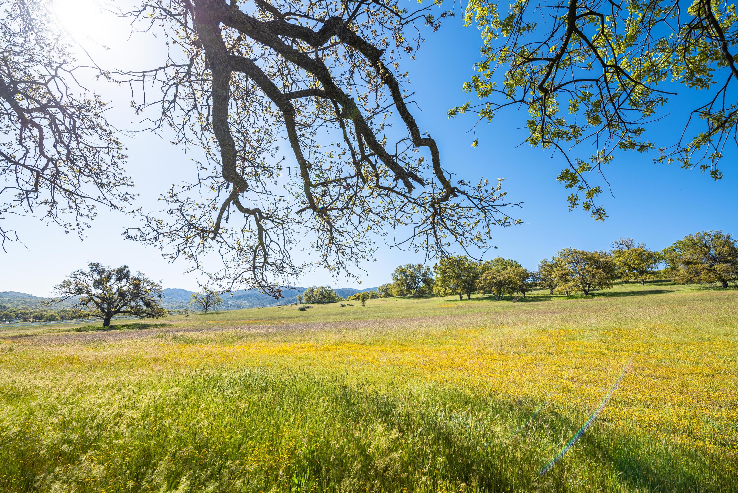 21970 Highline Road Tehachapi, CA 93561 - Photo 22 of 68 a view of an ocean and trees