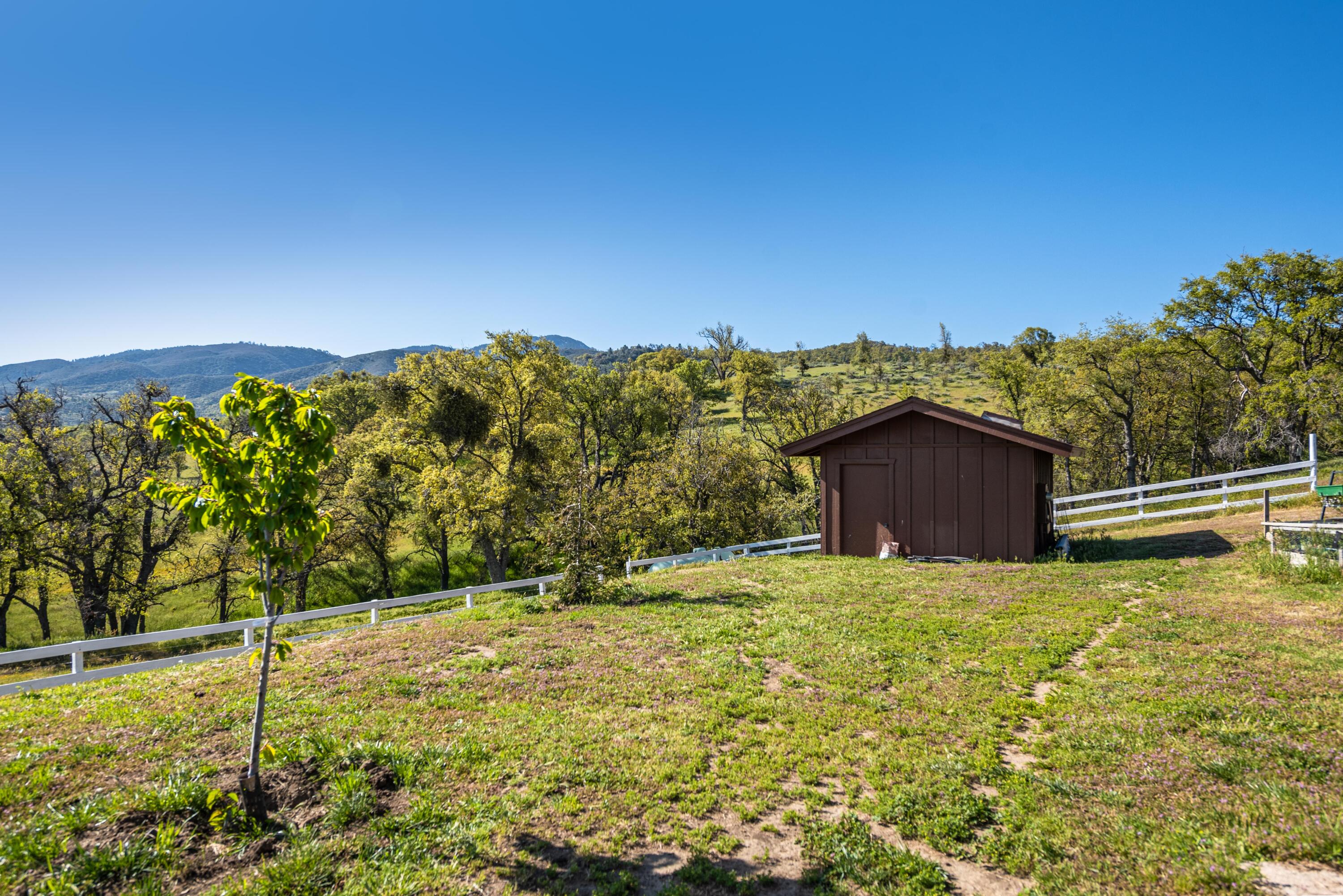 21970 Highline Road Tehachapi, CA 93561 - Photo 7 of 68 a view of a yard with potted plants