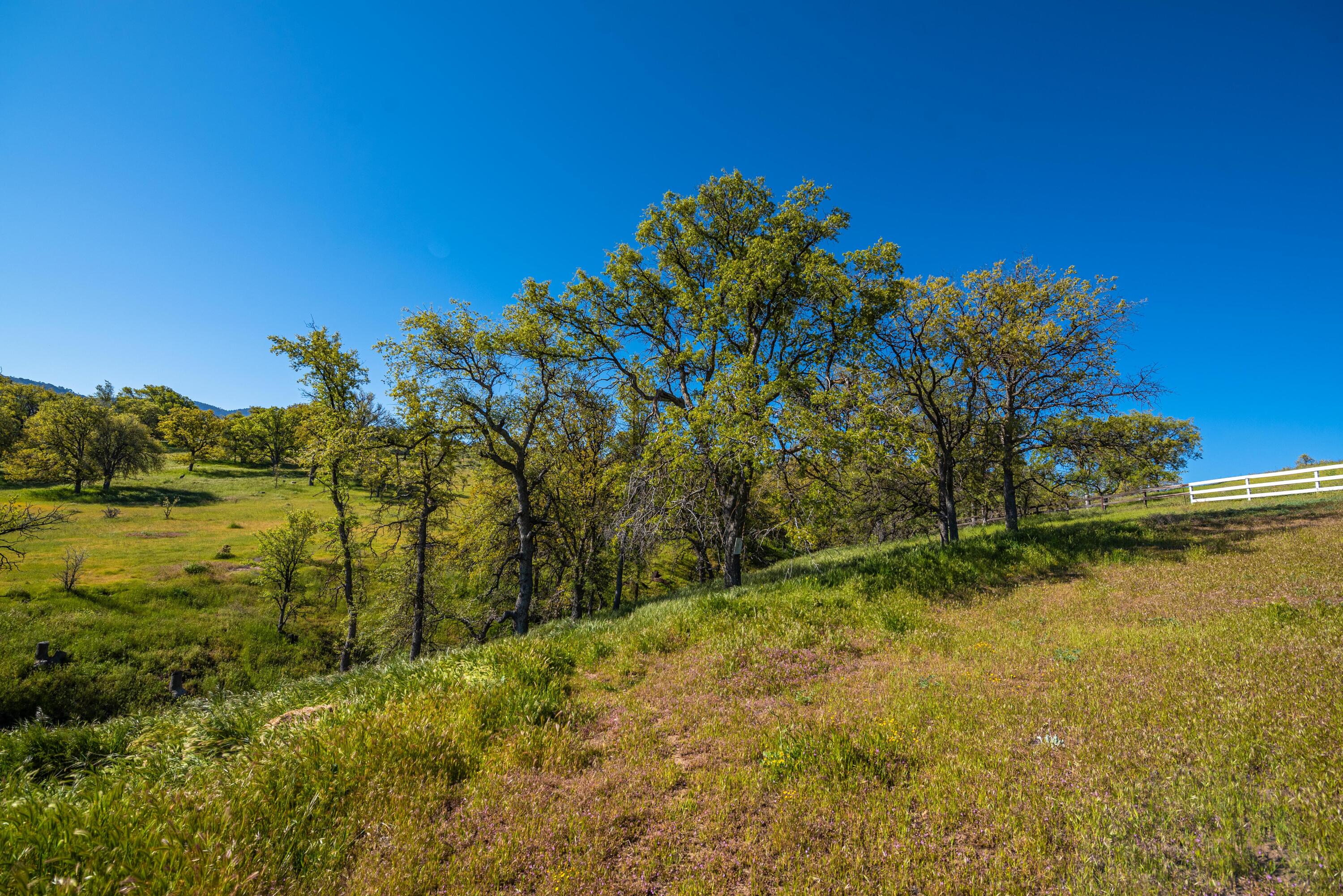 21970 Highline Road Tehachapi, CA 93561 - Photo 10 of 68 a view of lake view