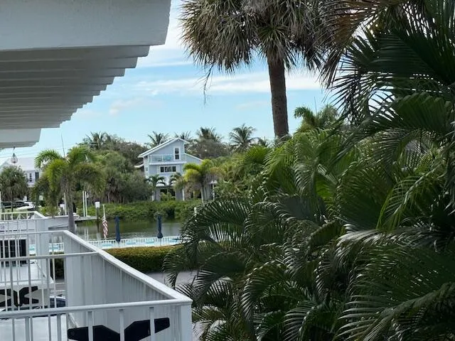 a house with palm tree in front of it