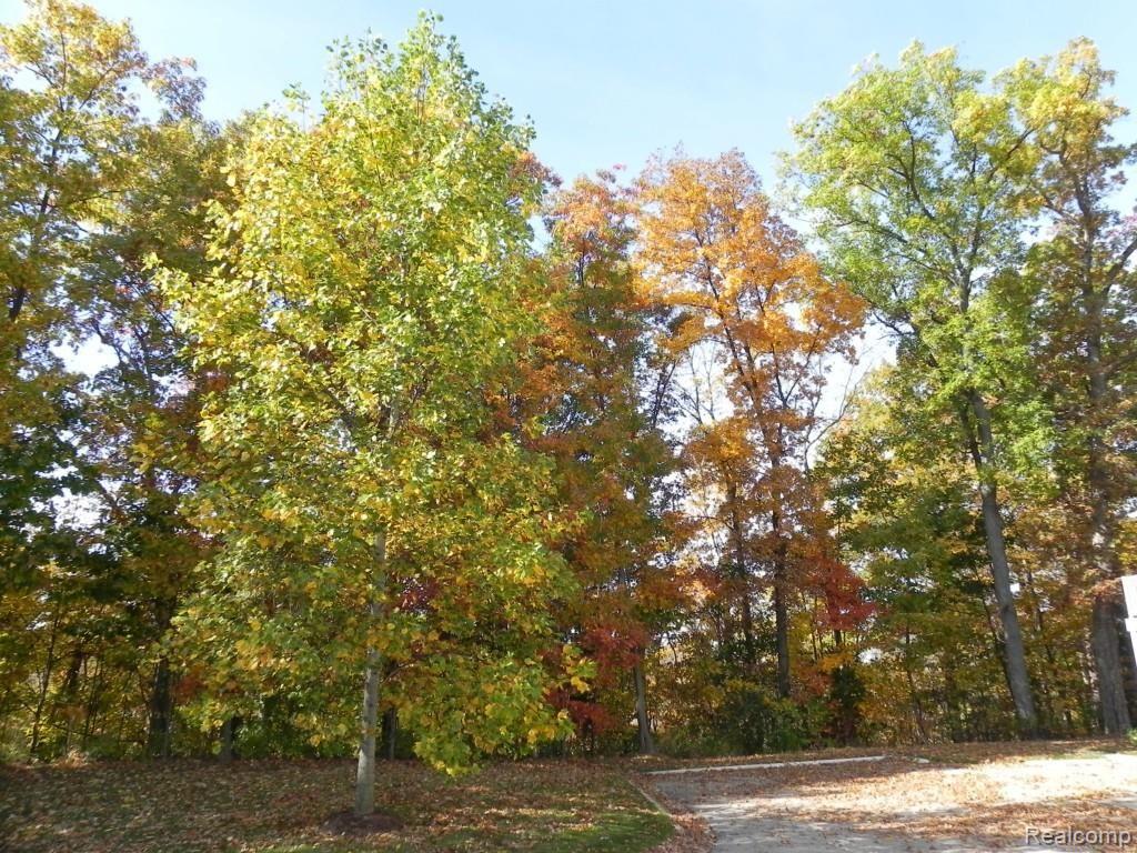 DSCN2558.jpg