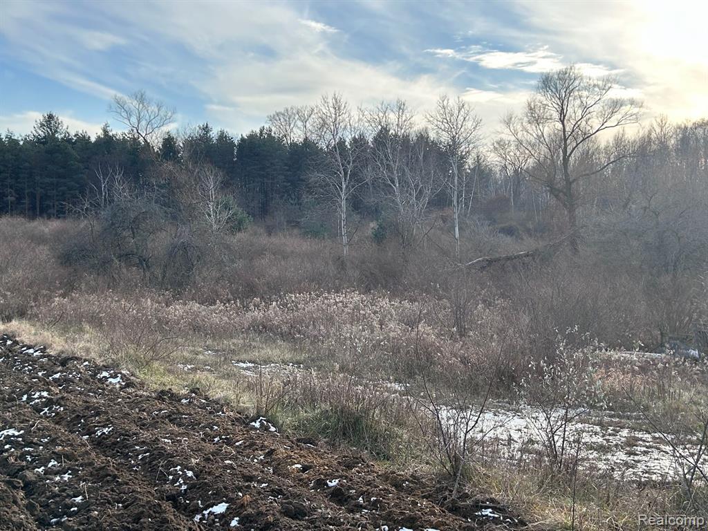 Vl Vl Suewier Road Applegate, MI 48401 - Photo 10 of 11