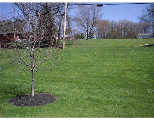 2143 Avella Road Avella, PA 15312 - Photo 4 of 8 Land/Lot.