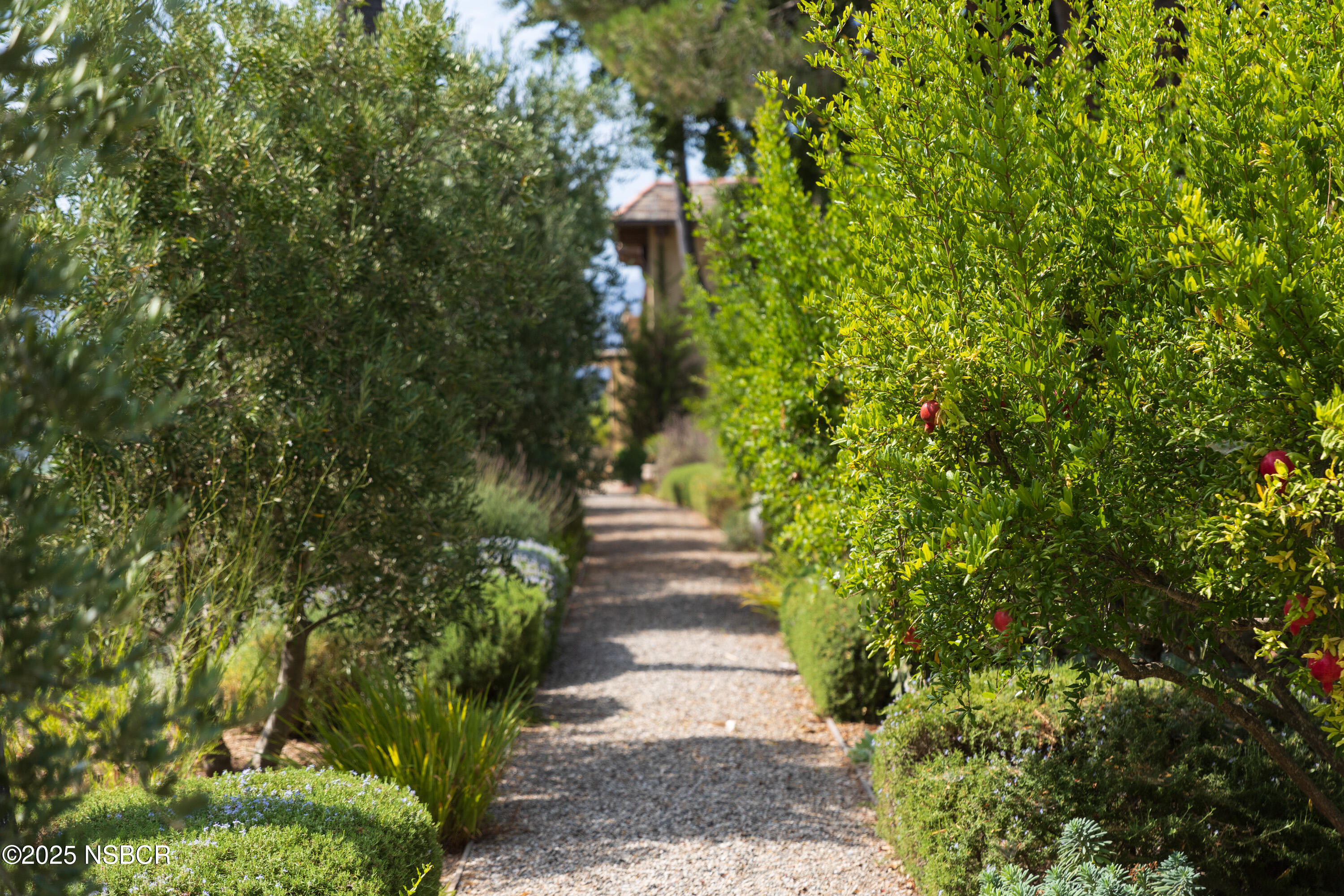 3001 Long Valley Road Santa Ynez, CA 93460 - Photo 37 of 52 3001 Long Valley Web-92